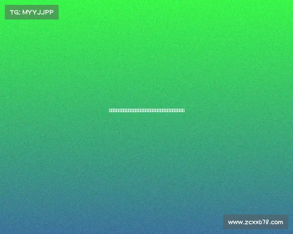 赛事程序、赛事规程示例精选汇编权威指南全面详解赛事规则实践应用